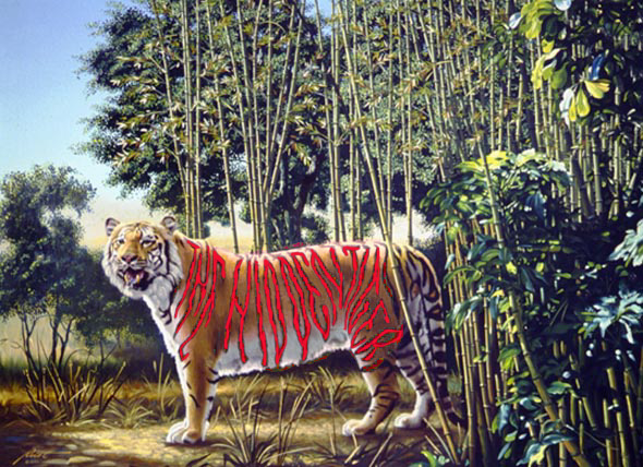 Hidden Tiger Illusion